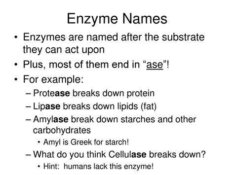 Enzyme Call Function In Component