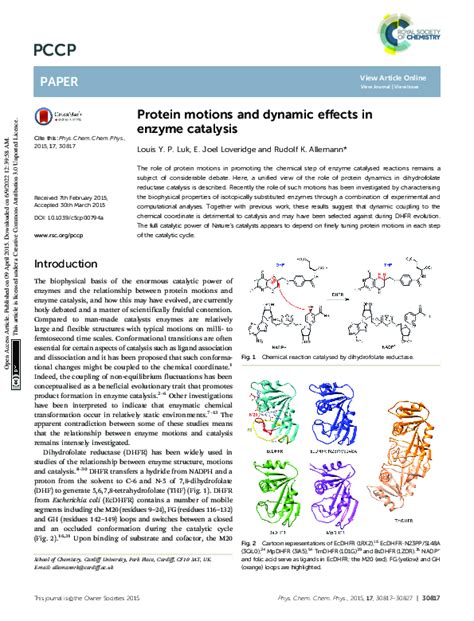 Enzyme Catalysis Research Papers