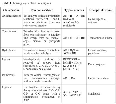 Enzyme Classification Examples