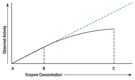 Enzyme Concentration Example