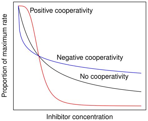 Enzyme Cooperativity Examples