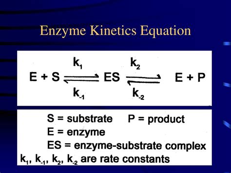 Enzyme Kinetics Equation Solver