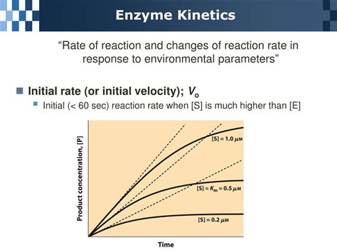 Enzyme Kinetics Examples