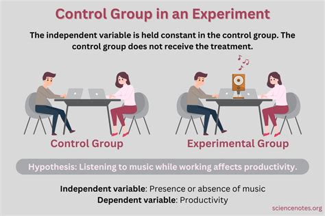 Enzyme Lab Control Group