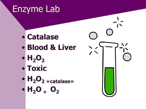 Enzyme Lab H2O2