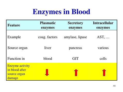 Enzyme Level In Blood