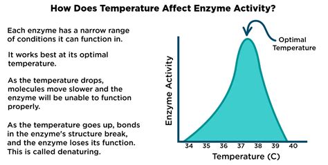 Enzyme Very High Temperature