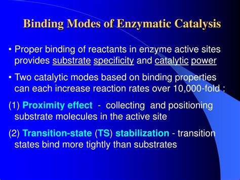 Enzymes Binding Modes
