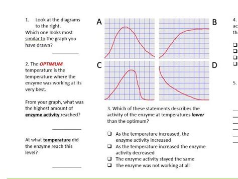 Enzymes Graphing Activity