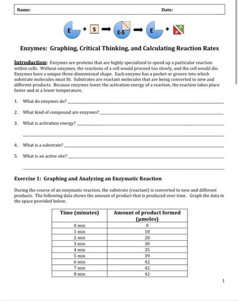 Enzymes Graphing Critical Thinking Answer Key