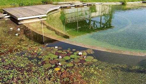 Epdm Bassin Aquatique Mon De Jardin Over Blog Com Hors Sol De Jardin Jardin D Eau