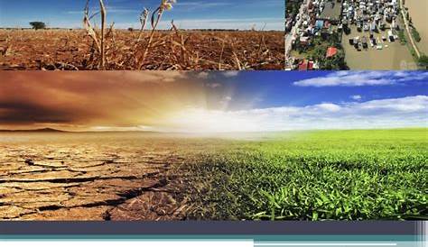 Myriad Farms - Climate Change: Mga Epekto at Solusyon sa...