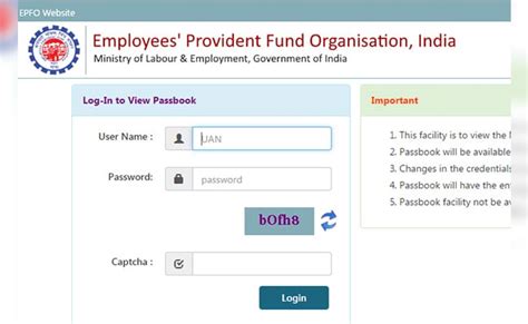 epf account details check
