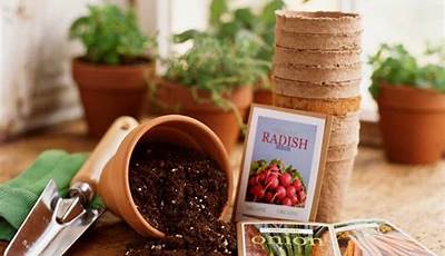 Epic Gardening Where To Buy Seeds