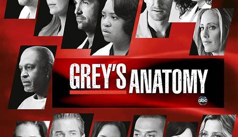 Grey's Anatomy 17 stagione: quando esce, episodi, anticipazioni - Serie