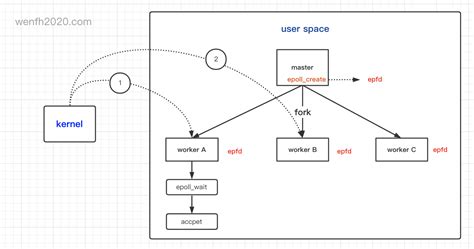 Epoll Socket Example C