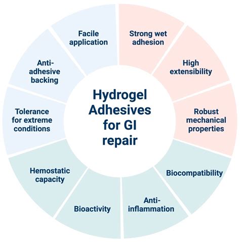 Epoxy Methacrylate Hydrogel