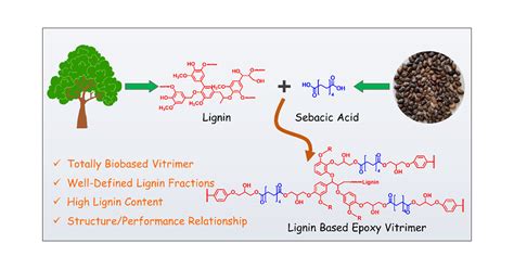 epoxy resin vitrimer