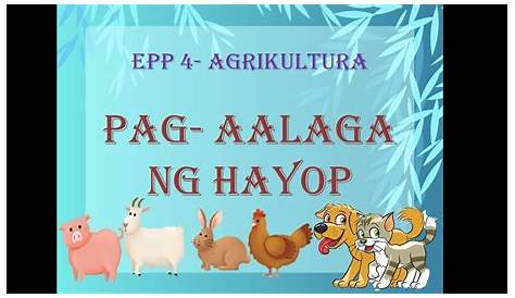 EPP 4 (Agriculture): Wastong Pag-aani at Pagsasapamilihan ng mga