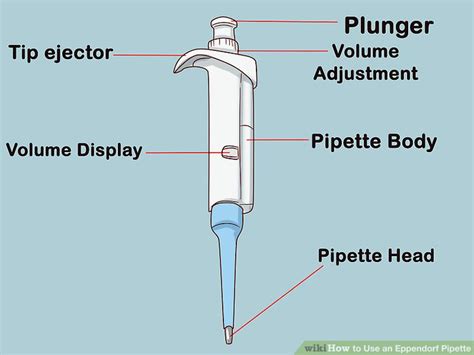Eppendorf Pipette Tutorial