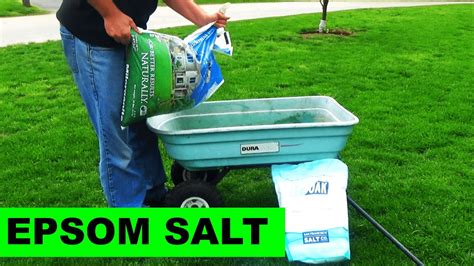 18 Reasons Why You Should Use Epsom Salt In the Garden