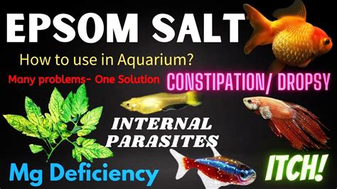 Fish Care Pure Epsom Salt 500 Grams Shopee Philippines