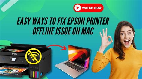 Epson Printer Keeps Going Offline Mac