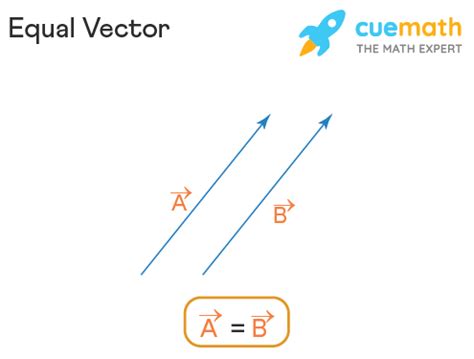 equal vector example in real life