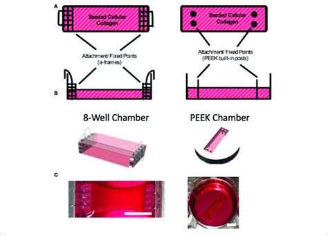 Equalization Chamber Meaning