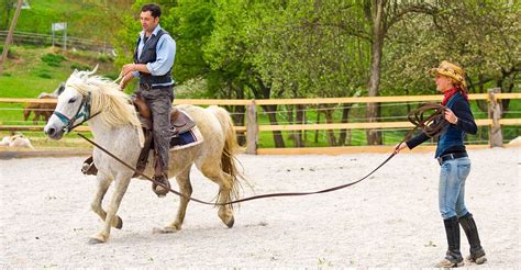 Equestrian Lessons Near Me: A Guide To Horseback Riding