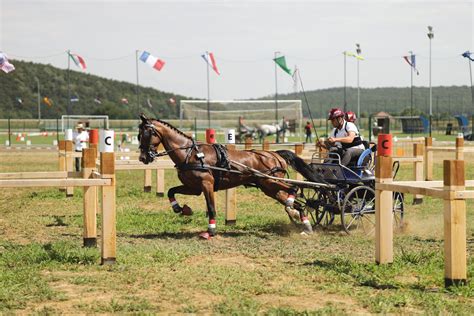 equestrian activities Croatia