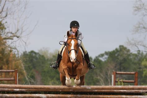equestrian events this weekend