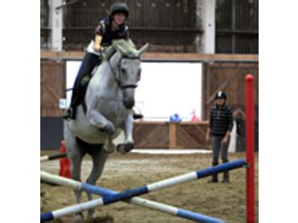 Equestrian Leighton Buzzard