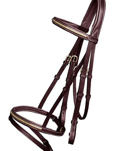 Equestrian Store Rome