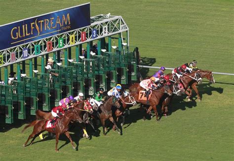 equibase race track entries