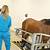 equine veterinary medical center qatar - medical information