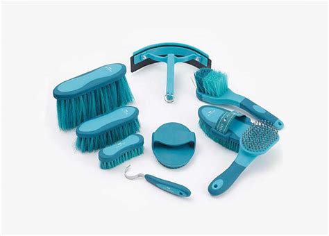 equine grooming kit