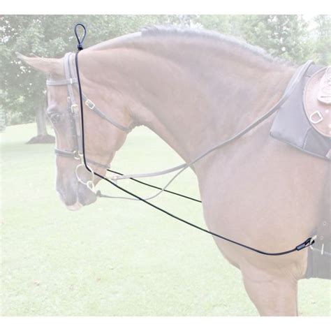 Equine Neck Stretcher