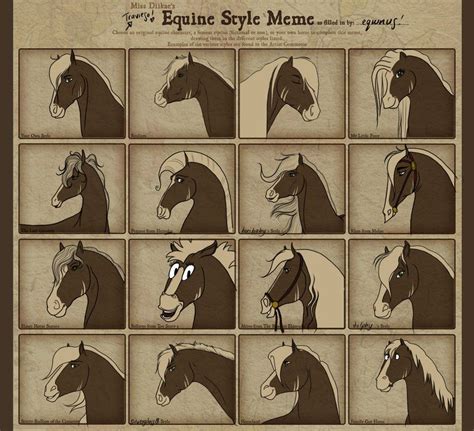 equine style meme pictures