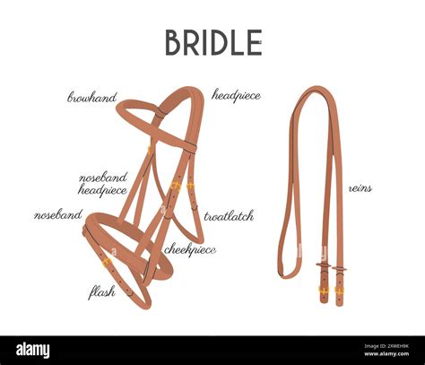 Equine Tack Names