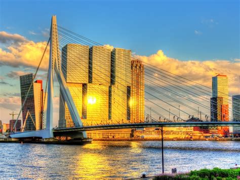 Unlock the European Adventure: ErasmusBrug Offers Life-Changing Study Opportunities