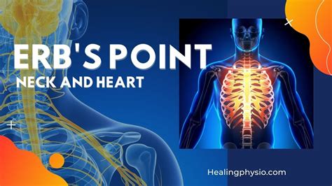 Erb S Point Location