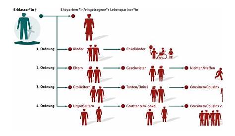 Die Erbfolge, wenn der kinderlose Cousin stirbt