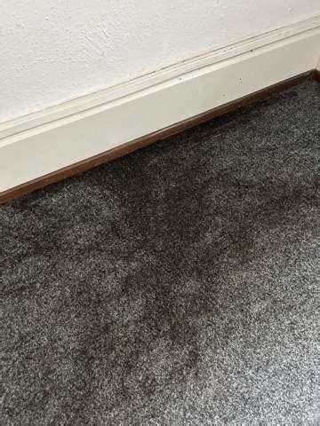 geklebten Teppich entfernen Teppichkleber ohne schleifen mit Abbeizer