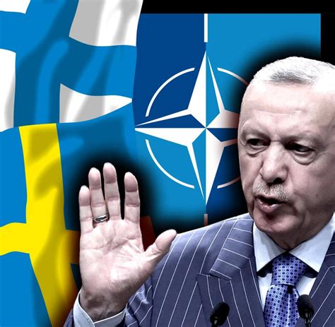 erdogan nato beitritt