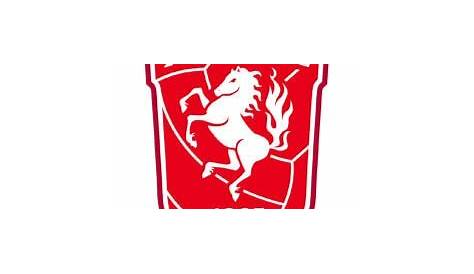 De selectie van kampioen FC Twente: 12 zekerheidjes, 14 spelers