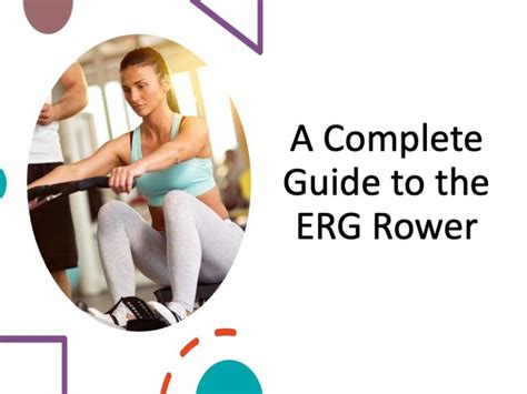 Erg Machine Muscles Worked