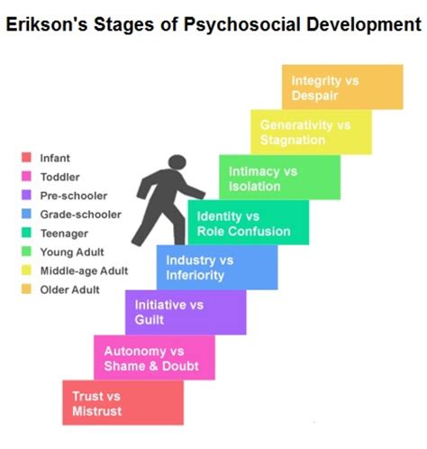 erikson's stages of development adults