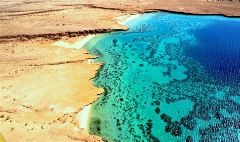 eritrean red sea beach