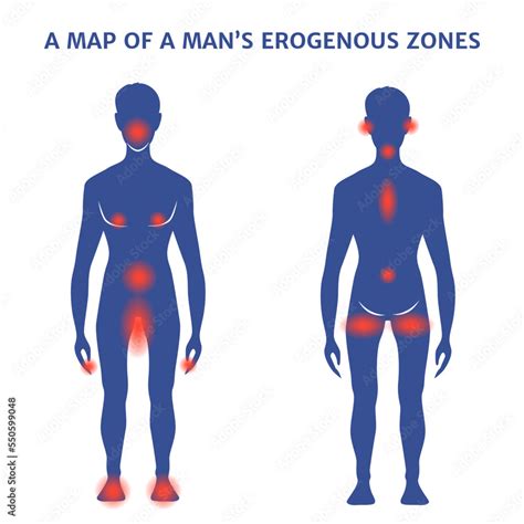 erotic zones